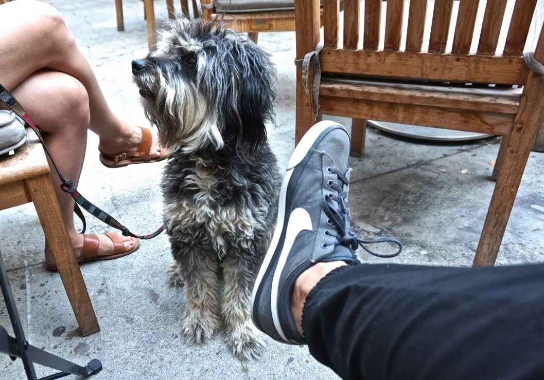 attachment-61de30cefaf0316e9668293b