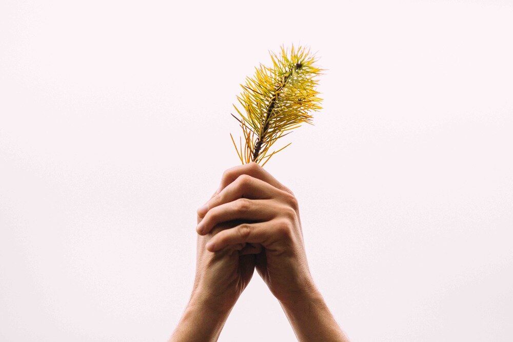 attachment-61de2efde3cfca745e194cda