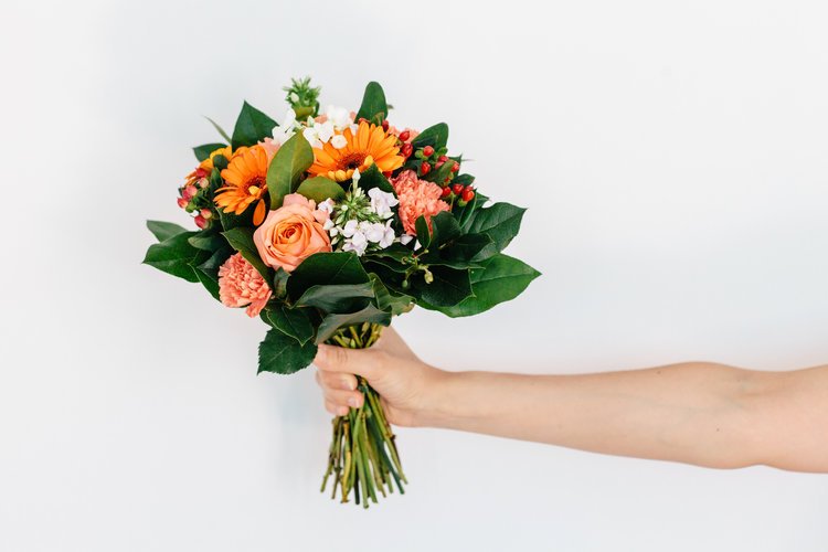 attachment-61de2e336e95331027ecc658