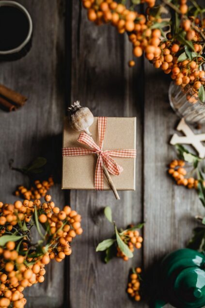 attachment-61de2dc778f6ee72ae66f09c