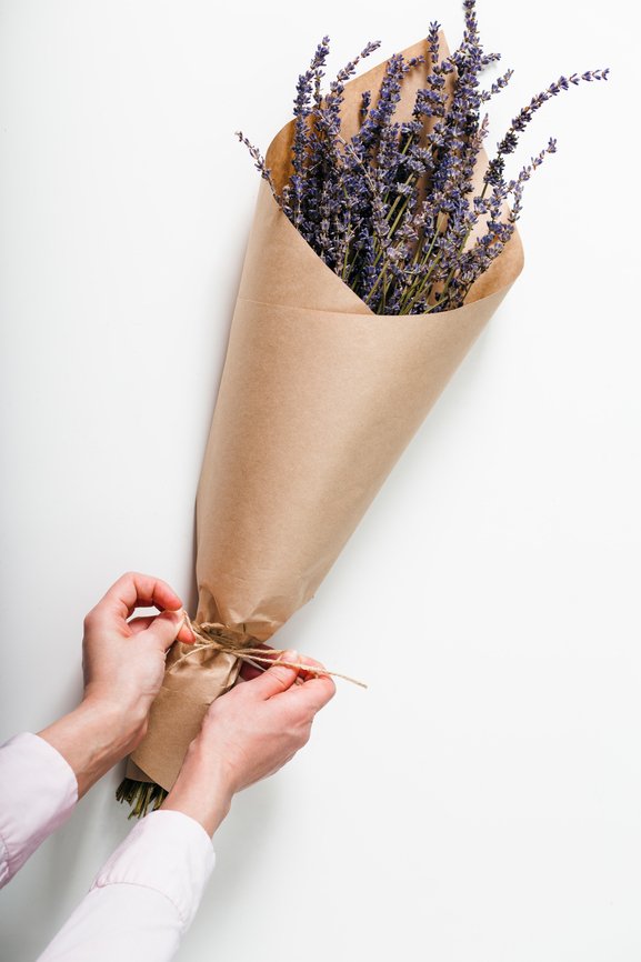 attachment-61de2da2e3cfca745e192b08