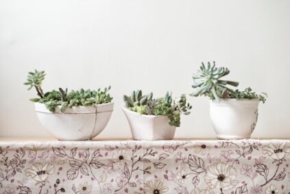 attachment-61de2d5366379e7e01cefbb7