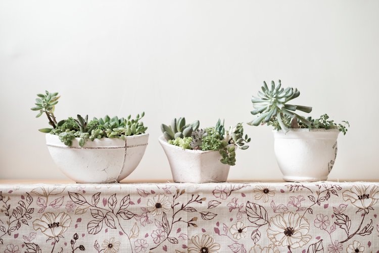 attachment-61de2d5366379e7e01cefbb7