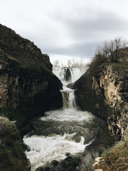 attachment-61de2bcba9a7b75053cdb5f4