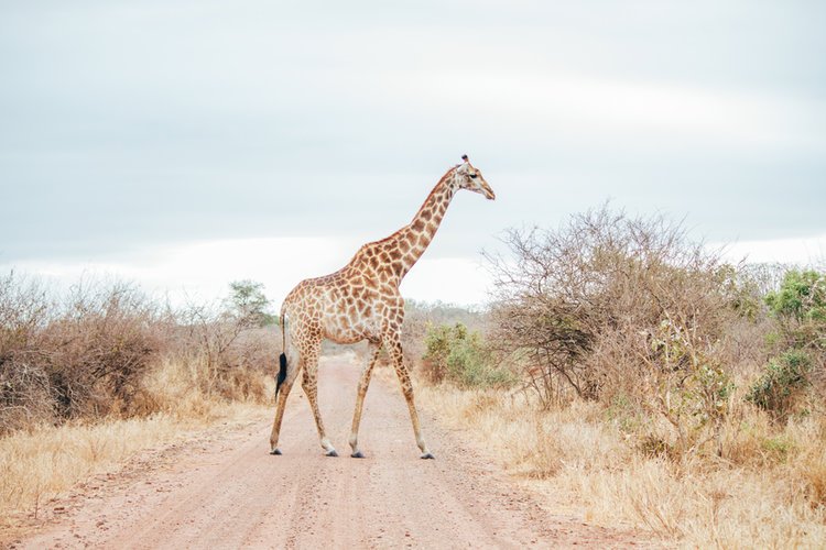 attachment-61de2b3f0d93f71bf196b7e1