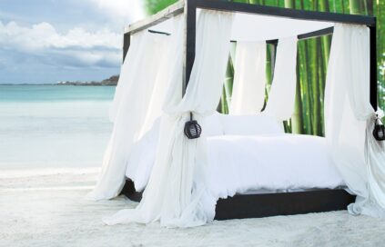 attachment-61de2a35cc83633228f7ad49