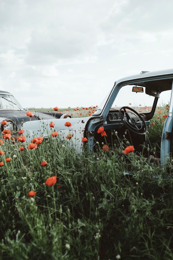 attachment-61de29680f2fe449f79125cc