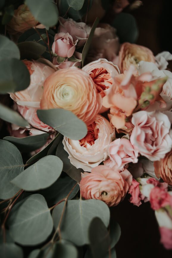 attachment-61de28ec50e9bb3227042574