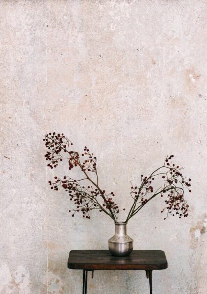 attachment-61de27f8117e3a352ada7ab3