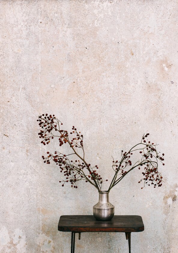 attachment-61de27f8117e3a352ada7ab3