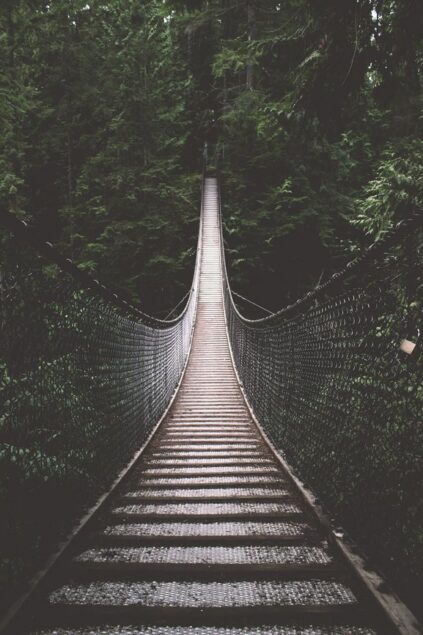 attachment-61de26303f23a0262e615b4a