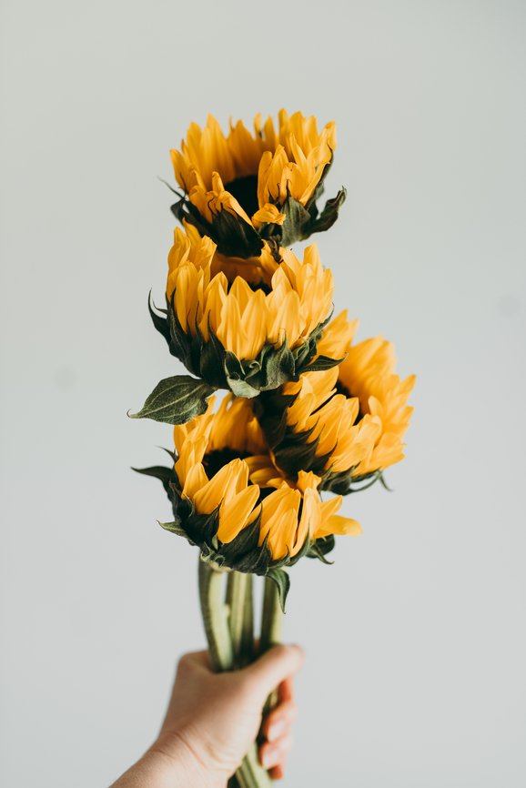 attachment-61de22b8feb3ff2f8a6e6a09