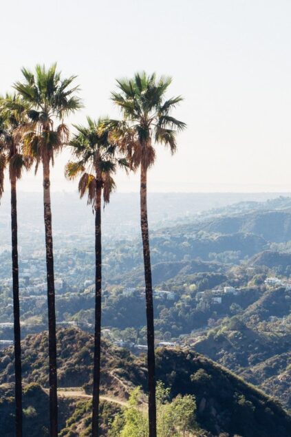 attachment-61de22342051bc0ec0a1adf8