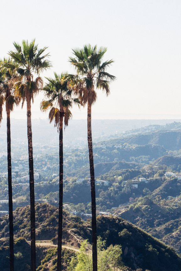 attachment-61de22342051bc0ec0a1adf8