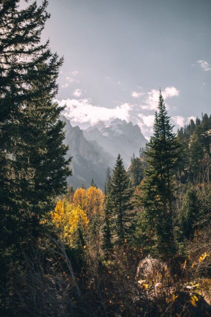 attachment-61de1e2c2efd5779919c93dc