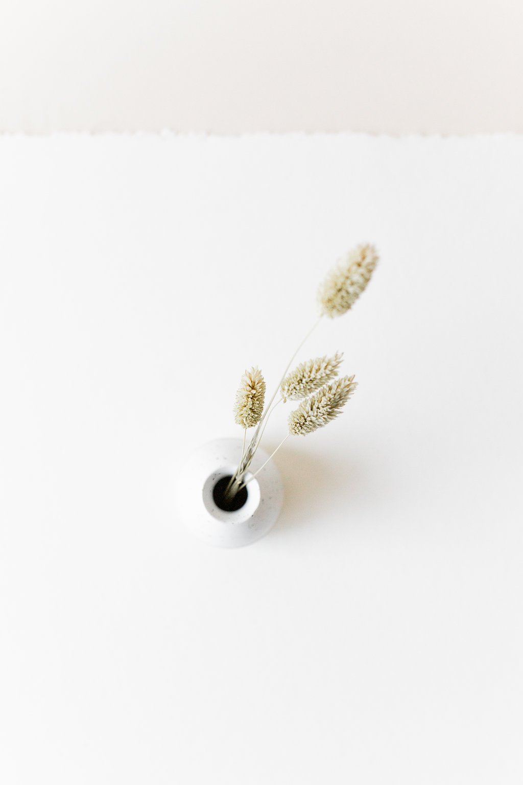 attachment-61de1de1be681533981ef6c3