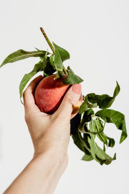 attachment-61de1d5b3f23a0262e608889