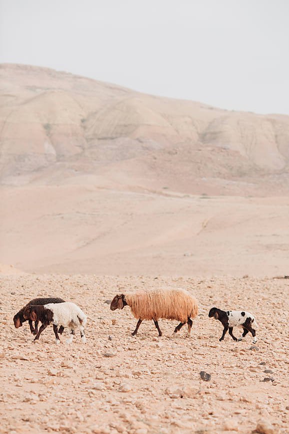 attachment-61de1b2108934158eb42df72