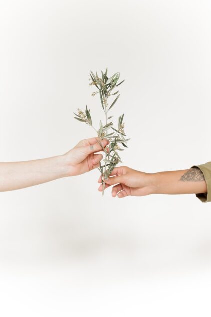 attachment-61de17648e44e82ff600065d