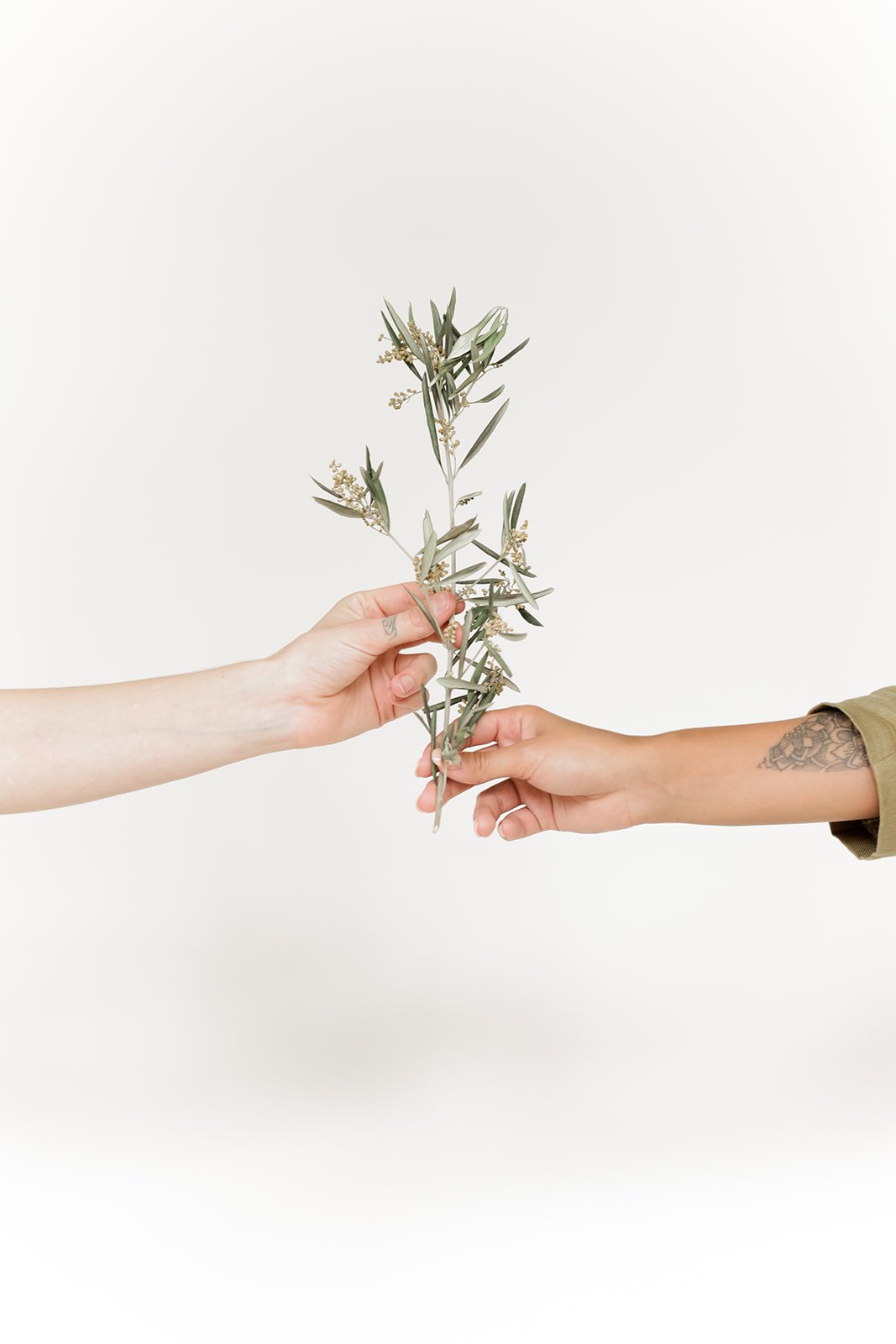 attachment-61de17648e44e82ff600065d