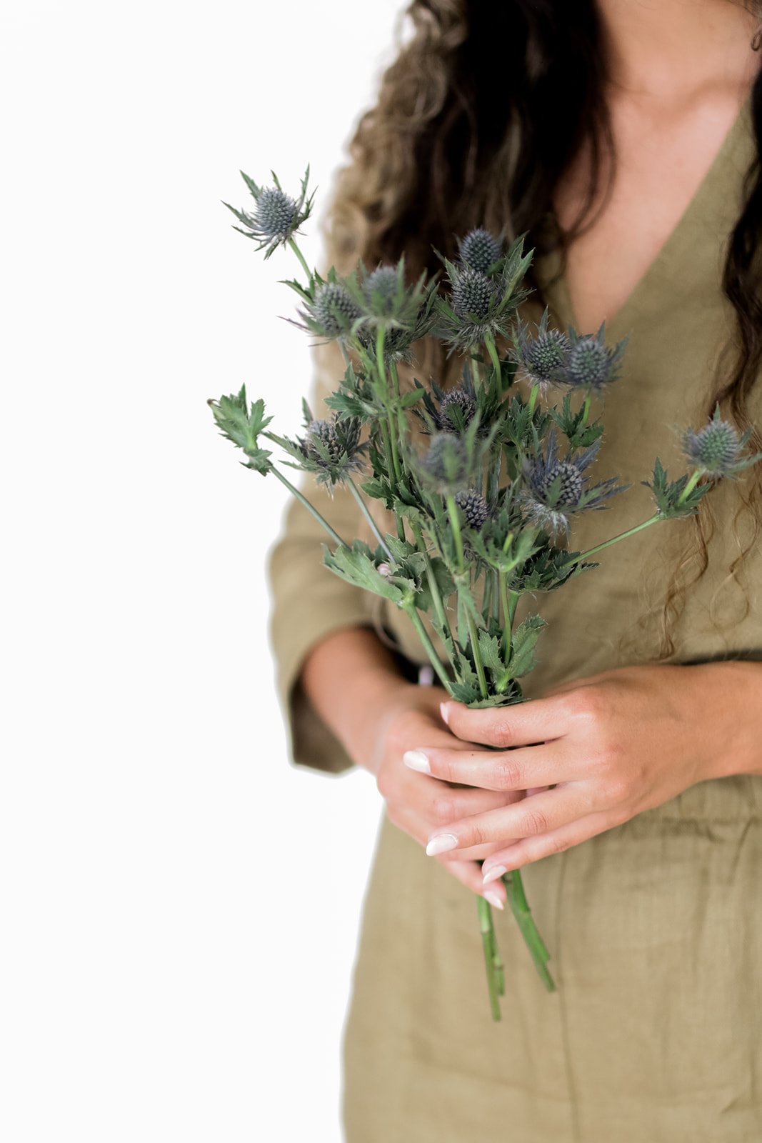 attachment-61de16a4c6a0b47ece3a7ce0