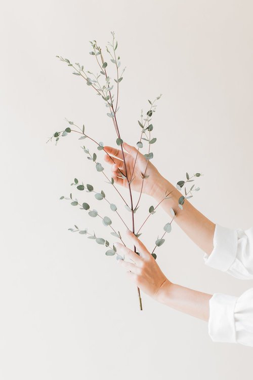 attachment-61de14d4fe28aa46cf14df76