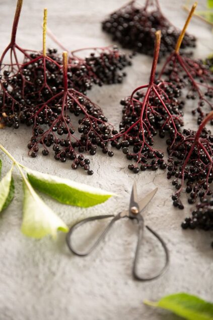 attachment-61de119edae755313ec6179d