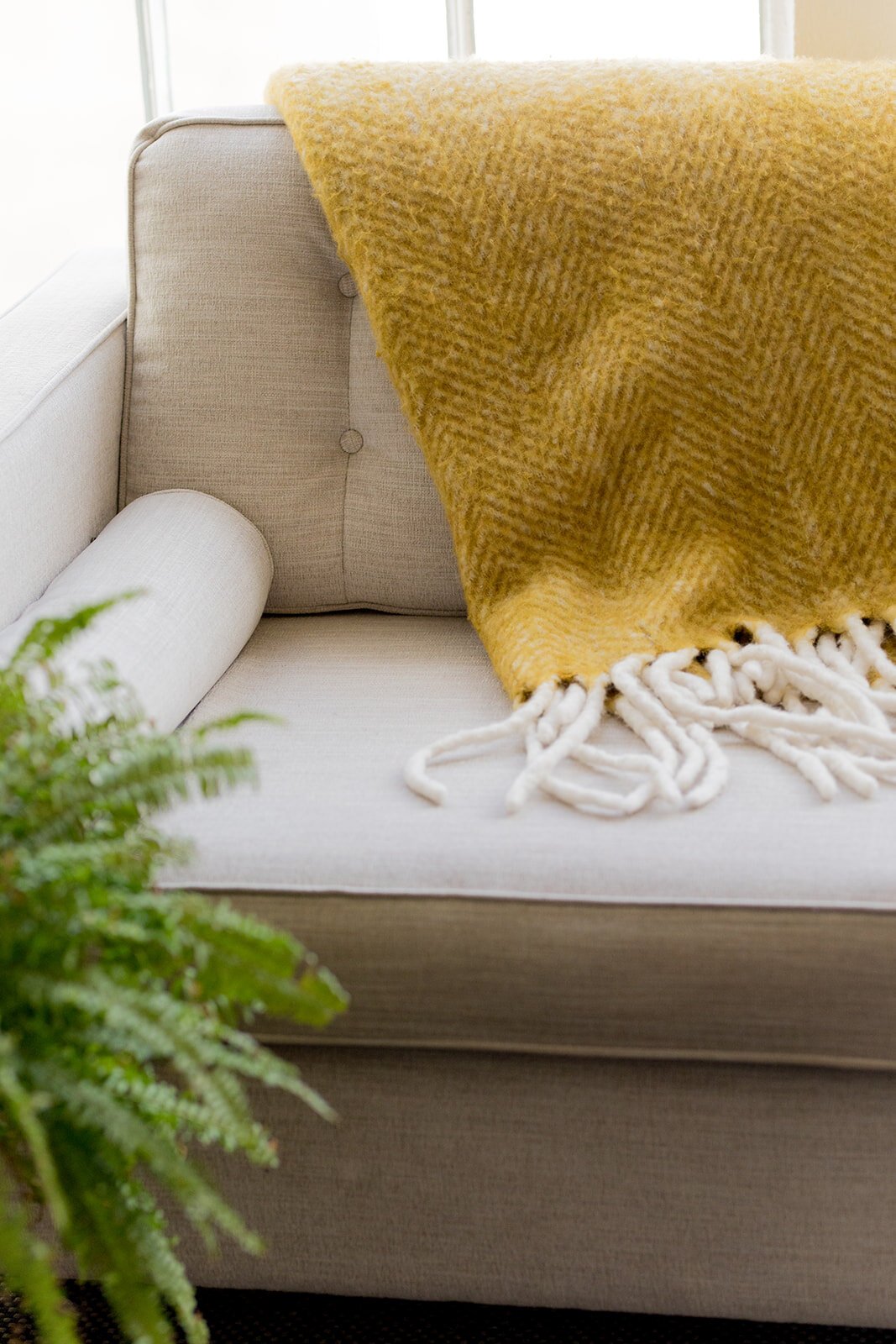 attachment-61de0c58a716683c2bbabba2