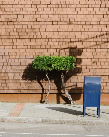 attachment-61de0b0dbbca7c7ab4721ab2