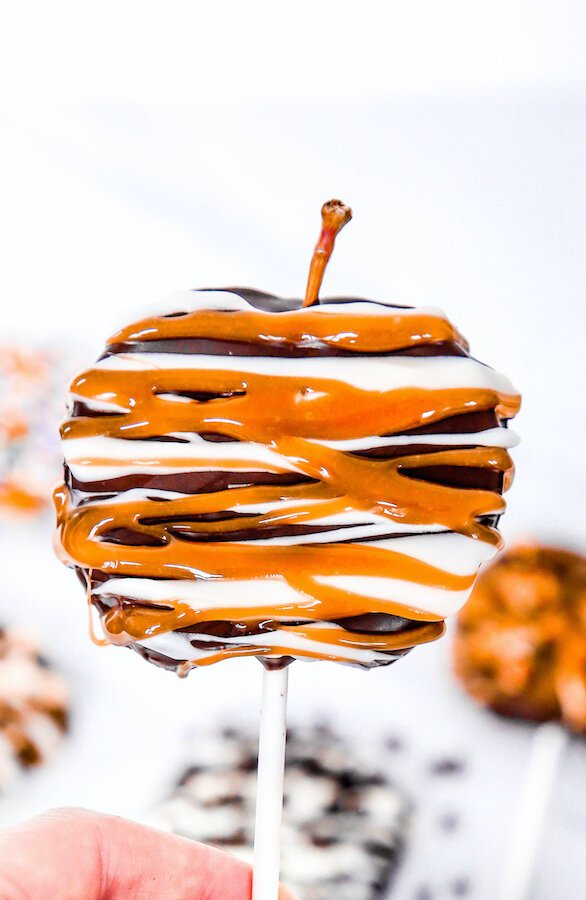 attachment-61de09fa40d5c819ae4772df