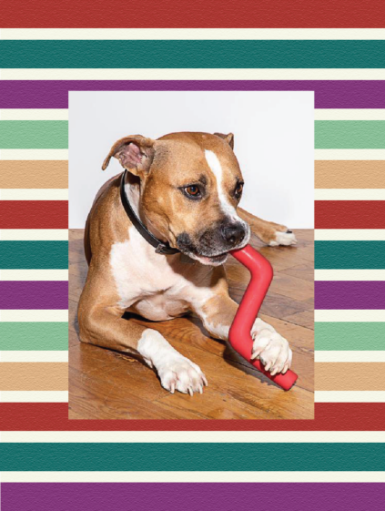 attachment-61de096581db7654cda53d20