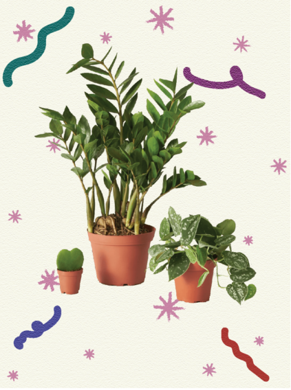 attachment-61de09b8c4d82c6d0527d382