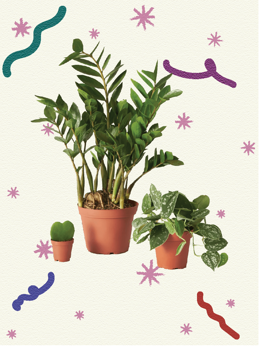 attachment-61de09b8c4d82c6d0527d382