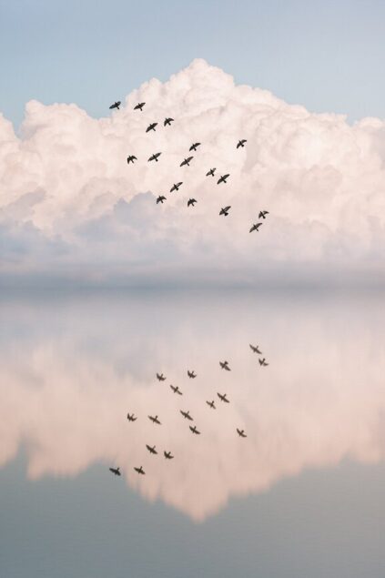 attachment-61de09c8b9970d5afb2baf4a