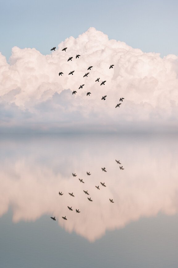 attachment-61de09c8b9970d5afb2baf4a