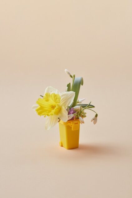 attachment-61de0418f2c0ae71210dab34