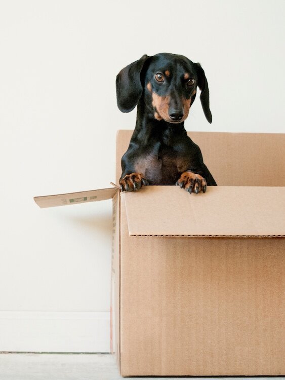 attachment-61de0334f1905d2158f1b6ca