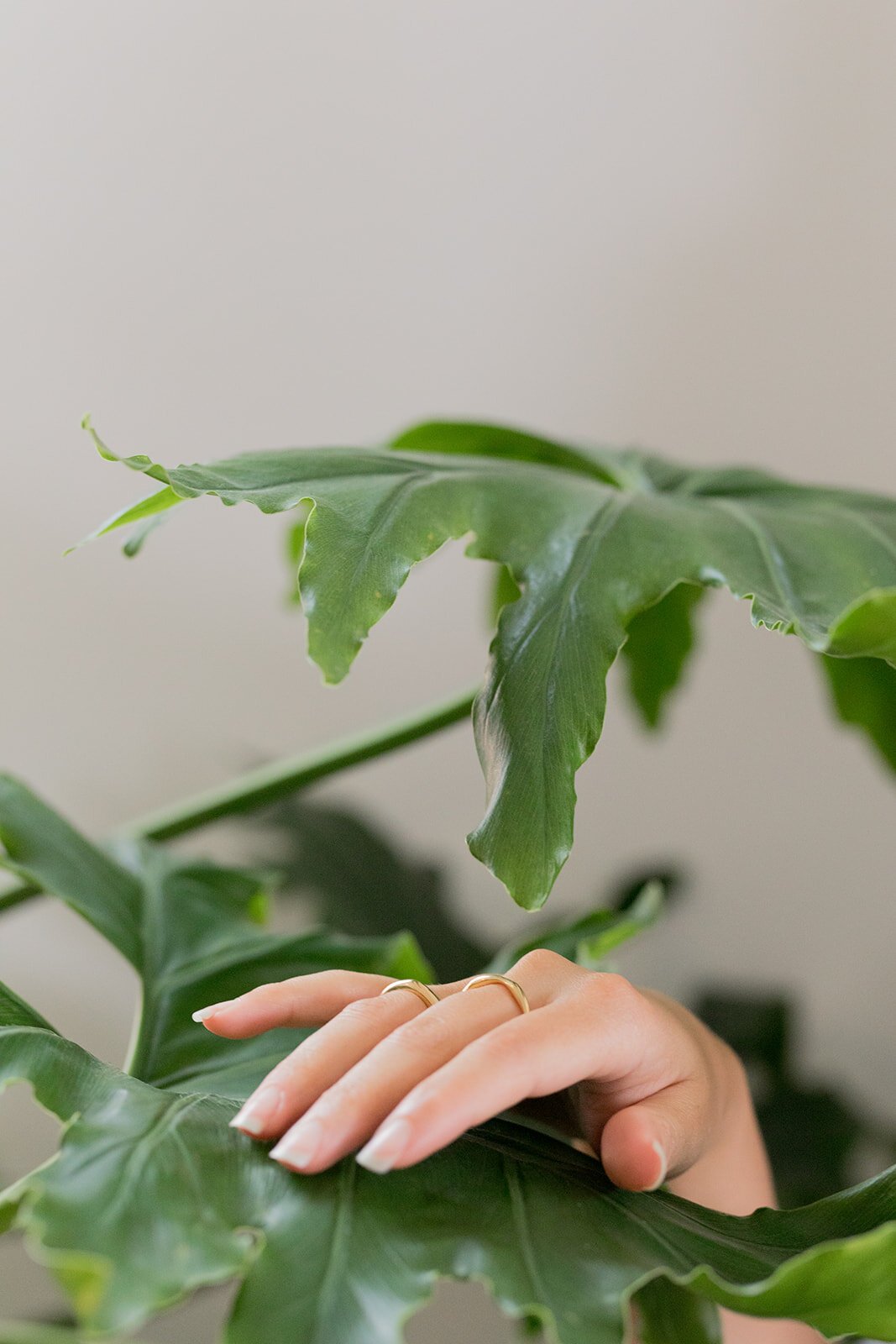 attachment-61de01a1cc115d7edb404c0a