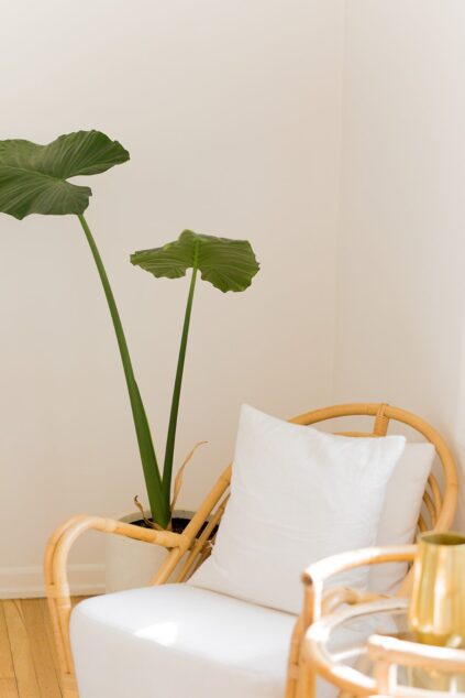 attachment-61de00777607ff44450ab1a2