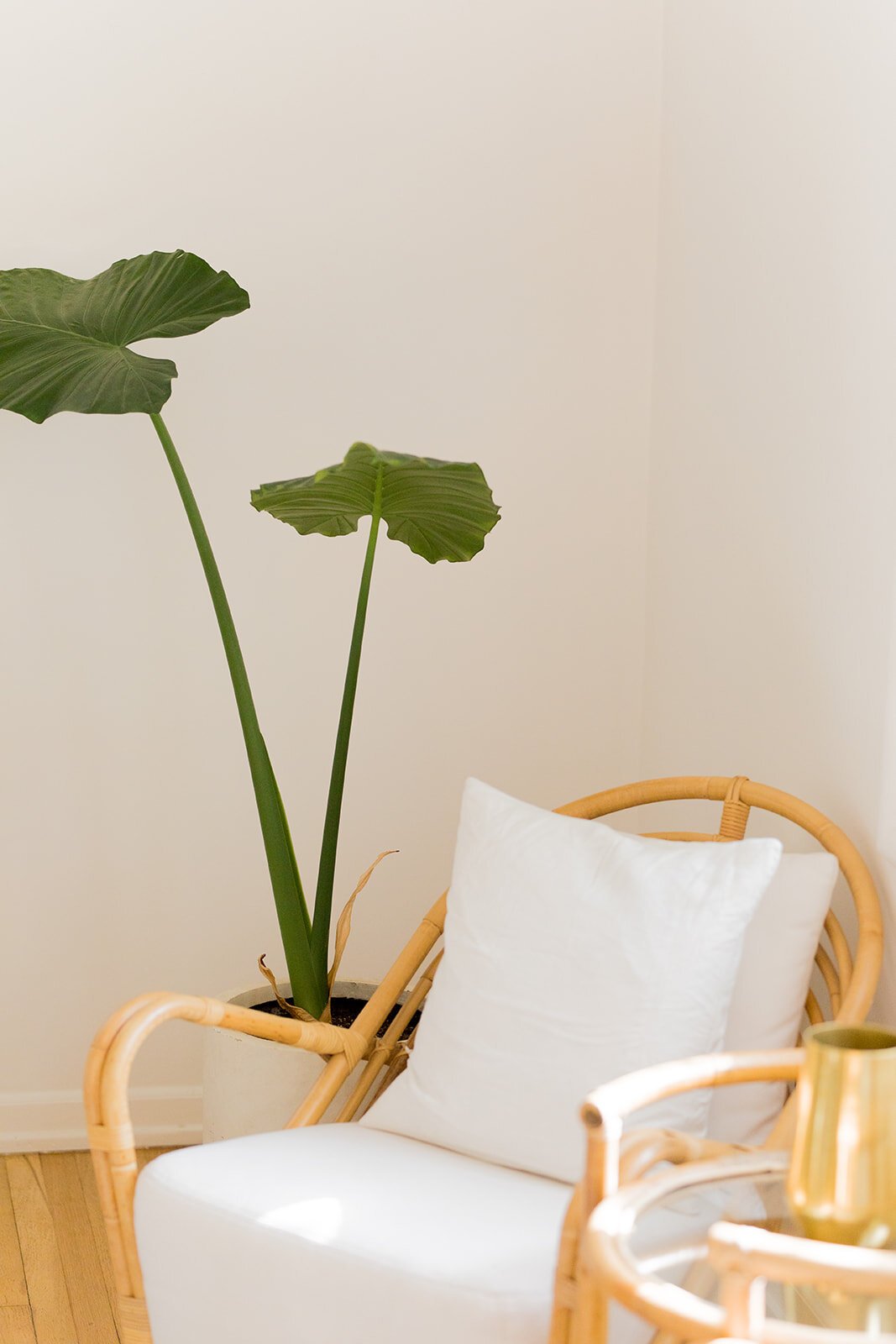 attachment-61de00777607ff44450ab1a2