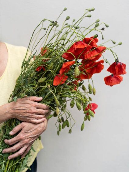 attachment-61ddfb4e0e875302cf1d370c