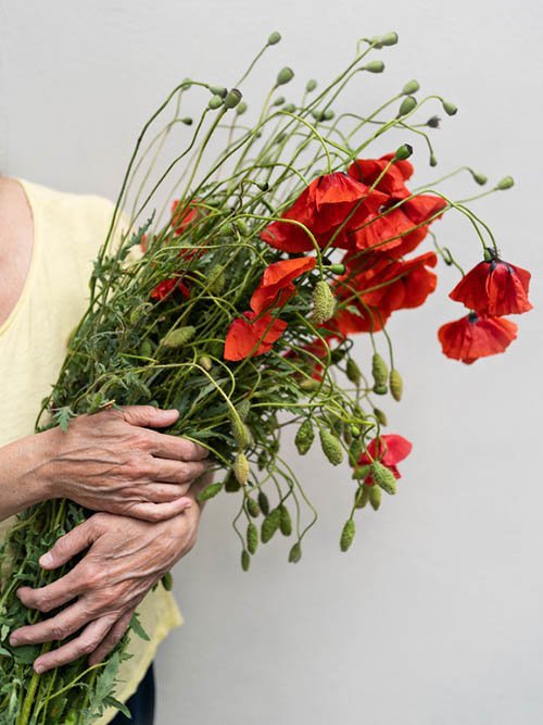 attachment-61ddfb4e0e875302cf1d370c