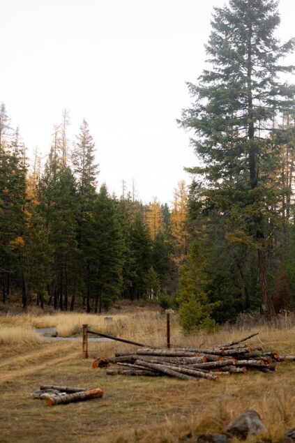 attachment-61de09c4c4d82c6d0527d5aa