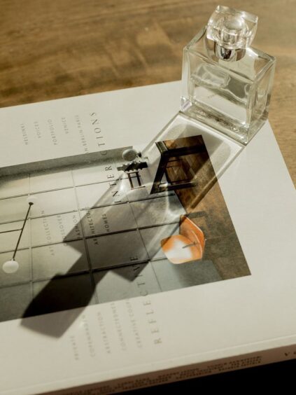 attachment-61ddf95c6be8353b9ca1dd95