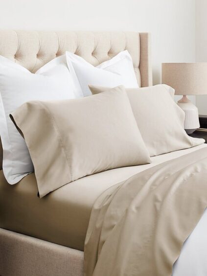 attachment-61ddfe10310c6965115217e8