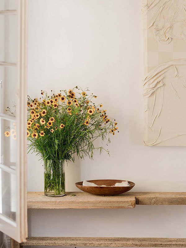 attachment-6216b0dc0d7e032f4e88e61e