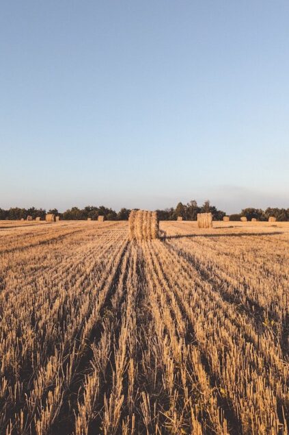 attachment-62d1786e1296c57ea40976c9