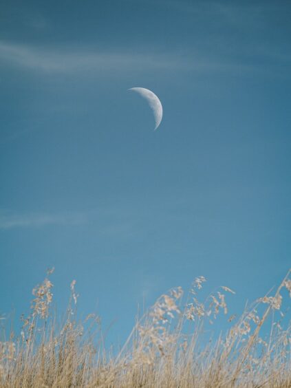 attachment-62d9ada428214549e4a3f44a