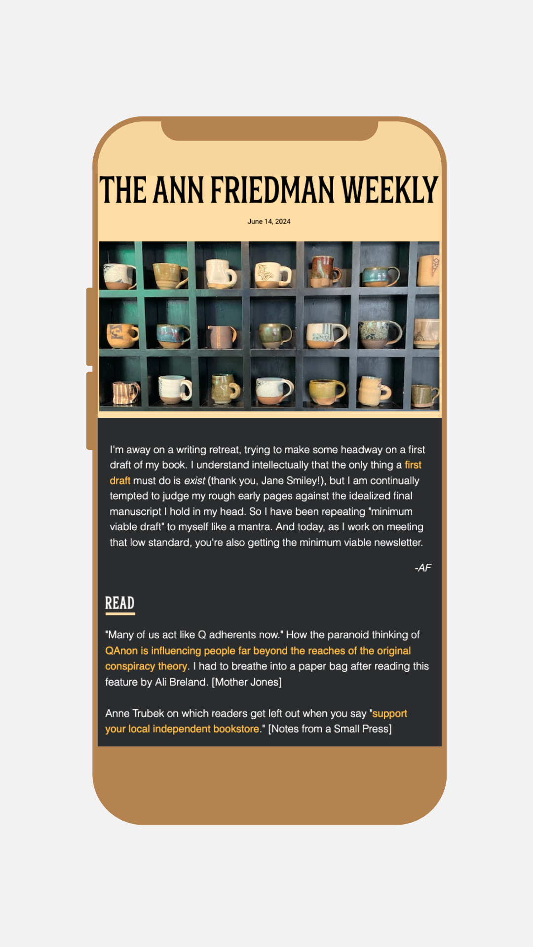 A screen of The Ann Friedman Weekly newsletter on an iphone graphic.