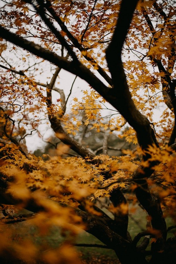 attachment-6356ac1d6347d101e8373229